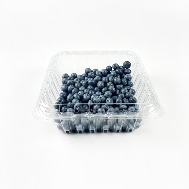 Common Problems with Fruit Plastic Packaging and Their Solutions