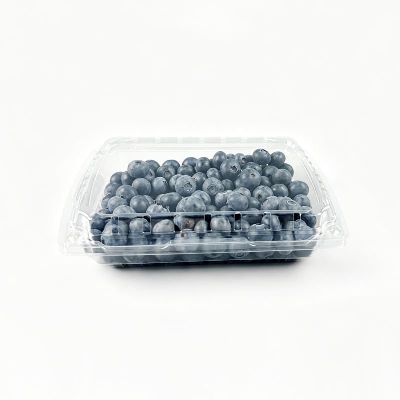 Comment les conteneurs en plastique à charnière améliorent-ils la présentation et la protection des produits