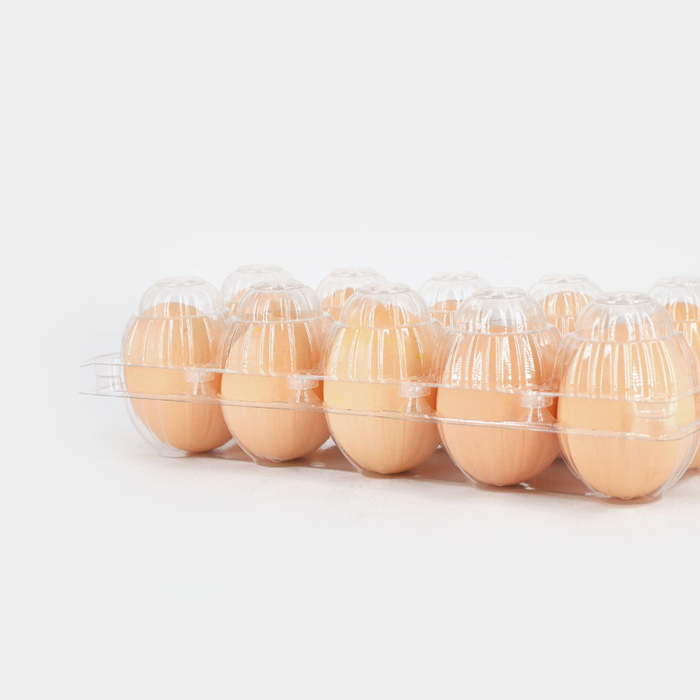 What Makes Clear Egg Trays the Preferred Choice for Egg Packaging?