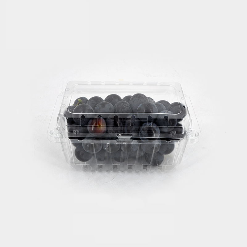 What Are the Latest Trends in Plastic Containers with Hinged Lids for Retail Packaging?