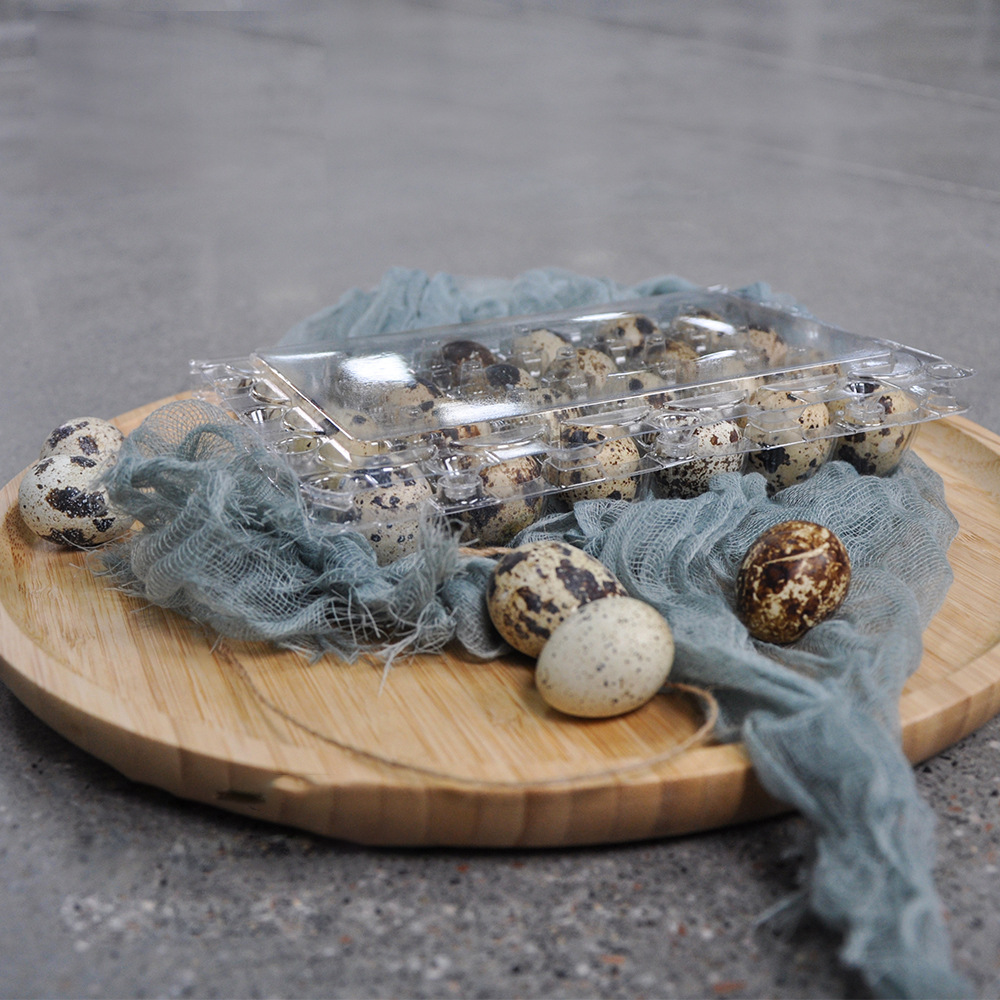 Where to Buy Clear Quail Egg Cartons at Competitive Wholesale Prices