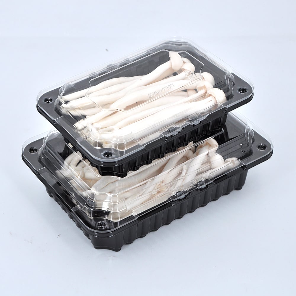 Where to Source Reliable Suppliers for Fruit Plastic Containers