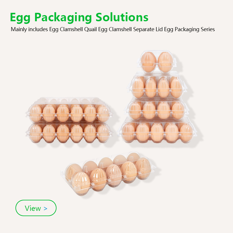 Eiverpackungslösungen