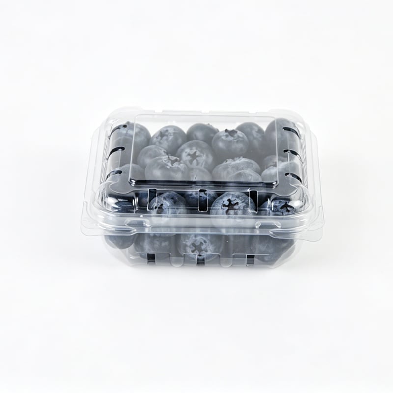 How Hinged Plastic Containers Enhance Product Presentation and Safety