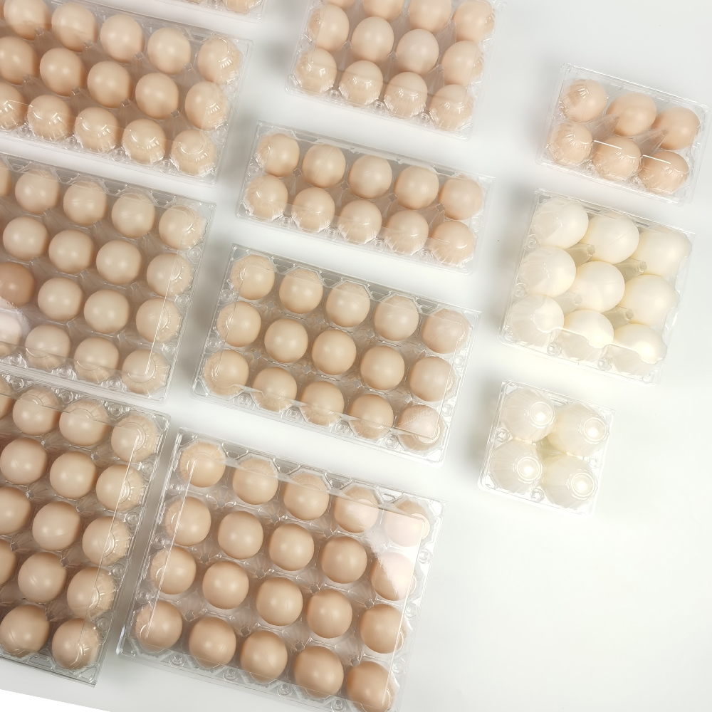 Common Usage Issues with Clear Plastic Egg Cartons and How to Avoid Them
