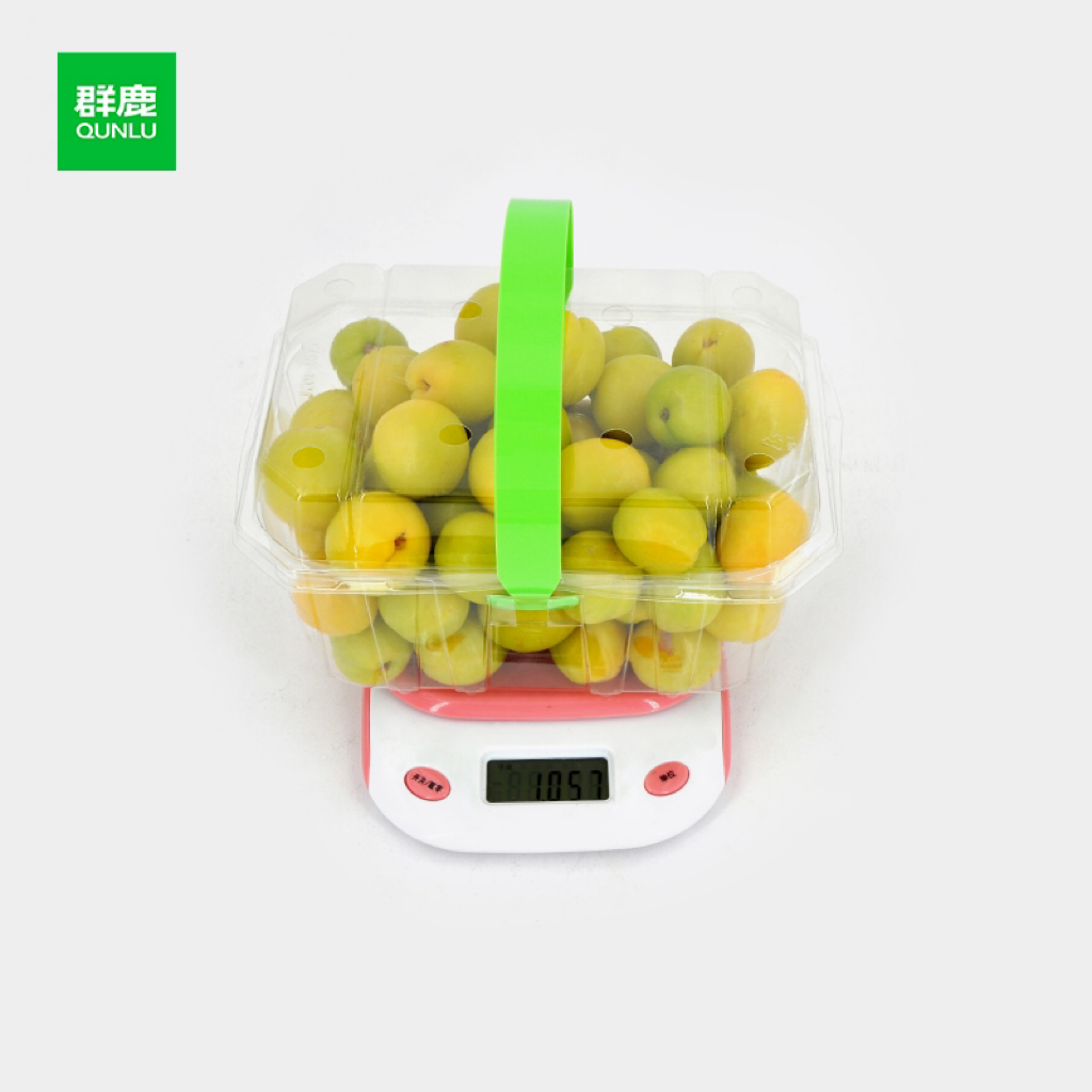 Where to Find Reliable Suppliers for Fruit Packaging Products