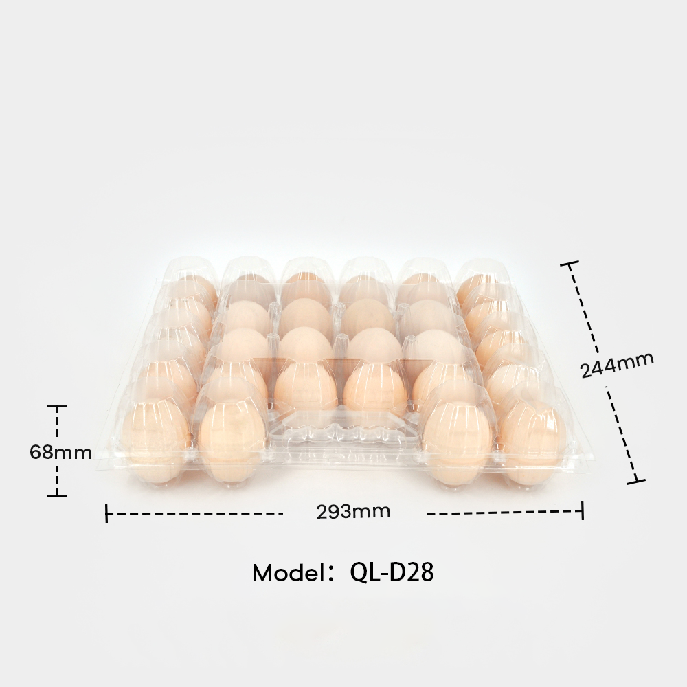 How Plastic Egg Trays Improve Egg Safety and Reduce Breakage