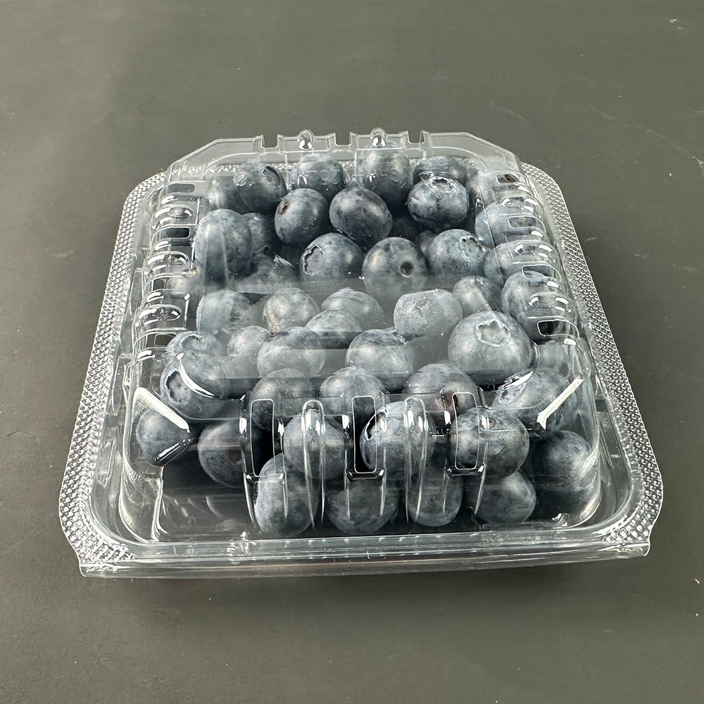 Comparing Different Types of Blueberry Packaging for Wholesale Buyers