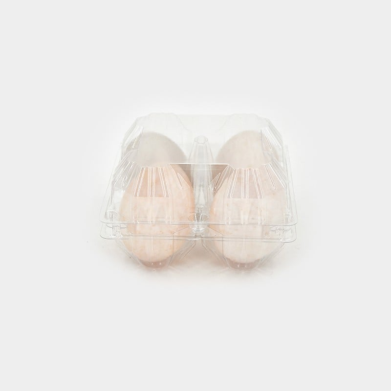 How to Choose the Best Clear Plastic Egg Containers for Your Business Needs
