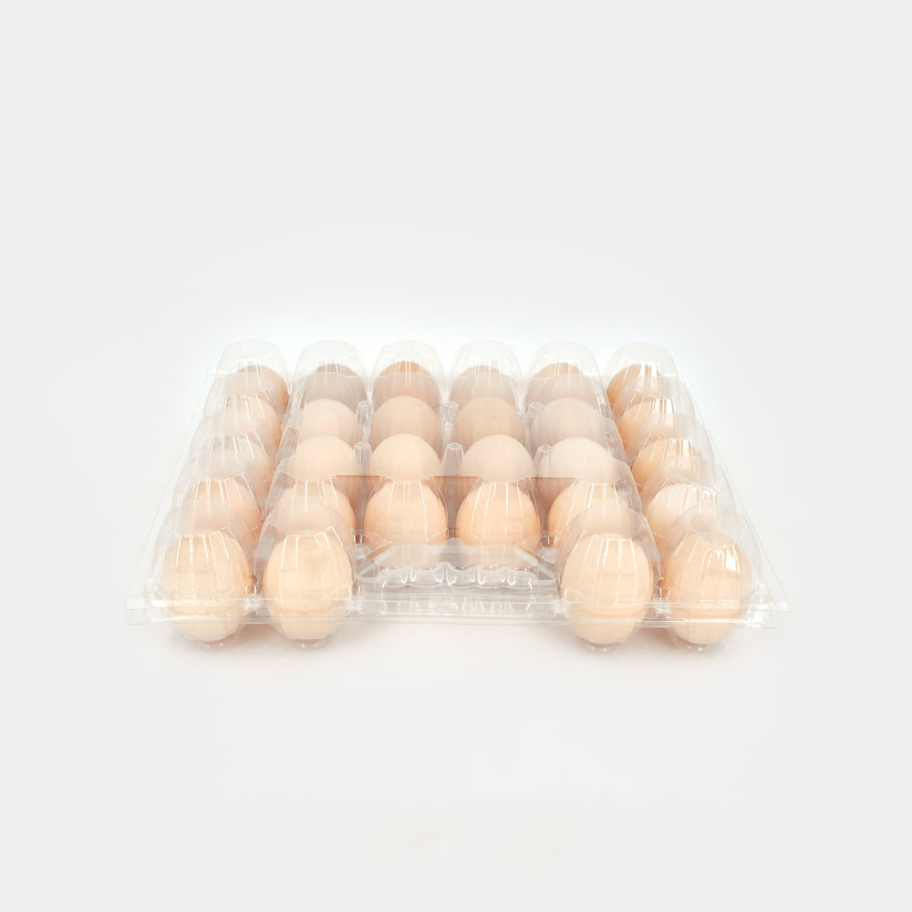 Where to Source Durable Plastic Egg Trays for Your Business