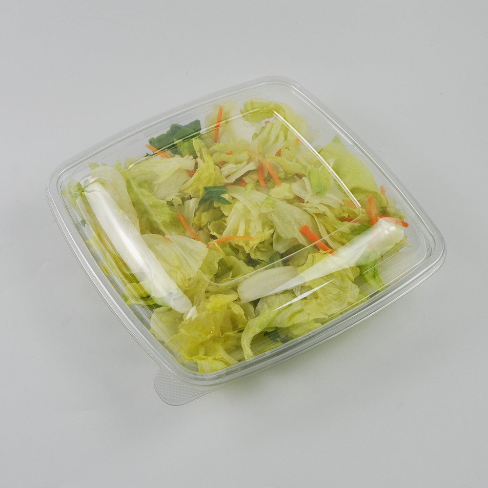 Where to Buy High-Quality Disposable Salad Containers in Bulk
