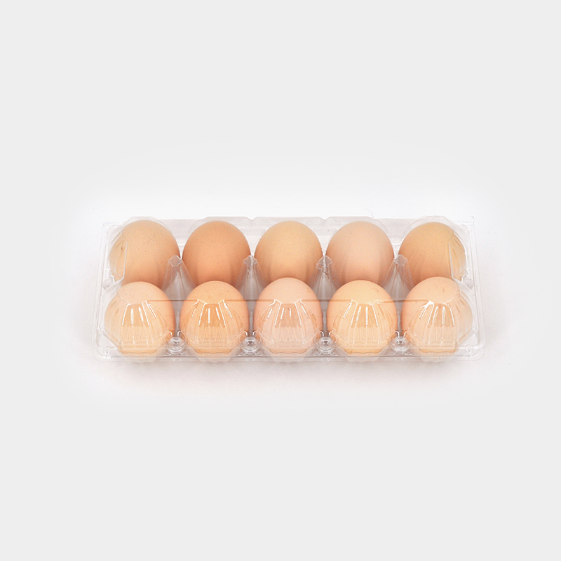 Where to Source High-Quality Clear Plastic Egg Cartons in Bulk?