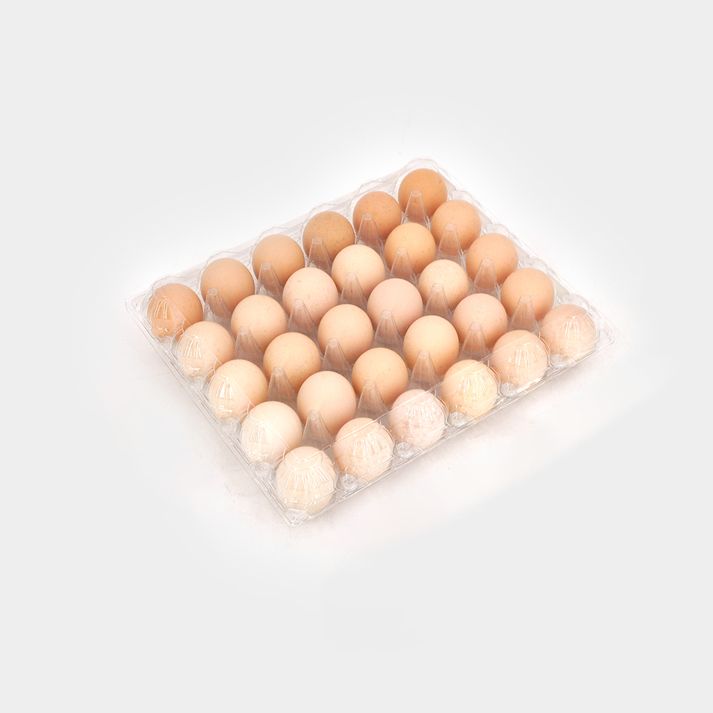 What Are the Latest Trends in Cheap Plastic Egg Carton Design?