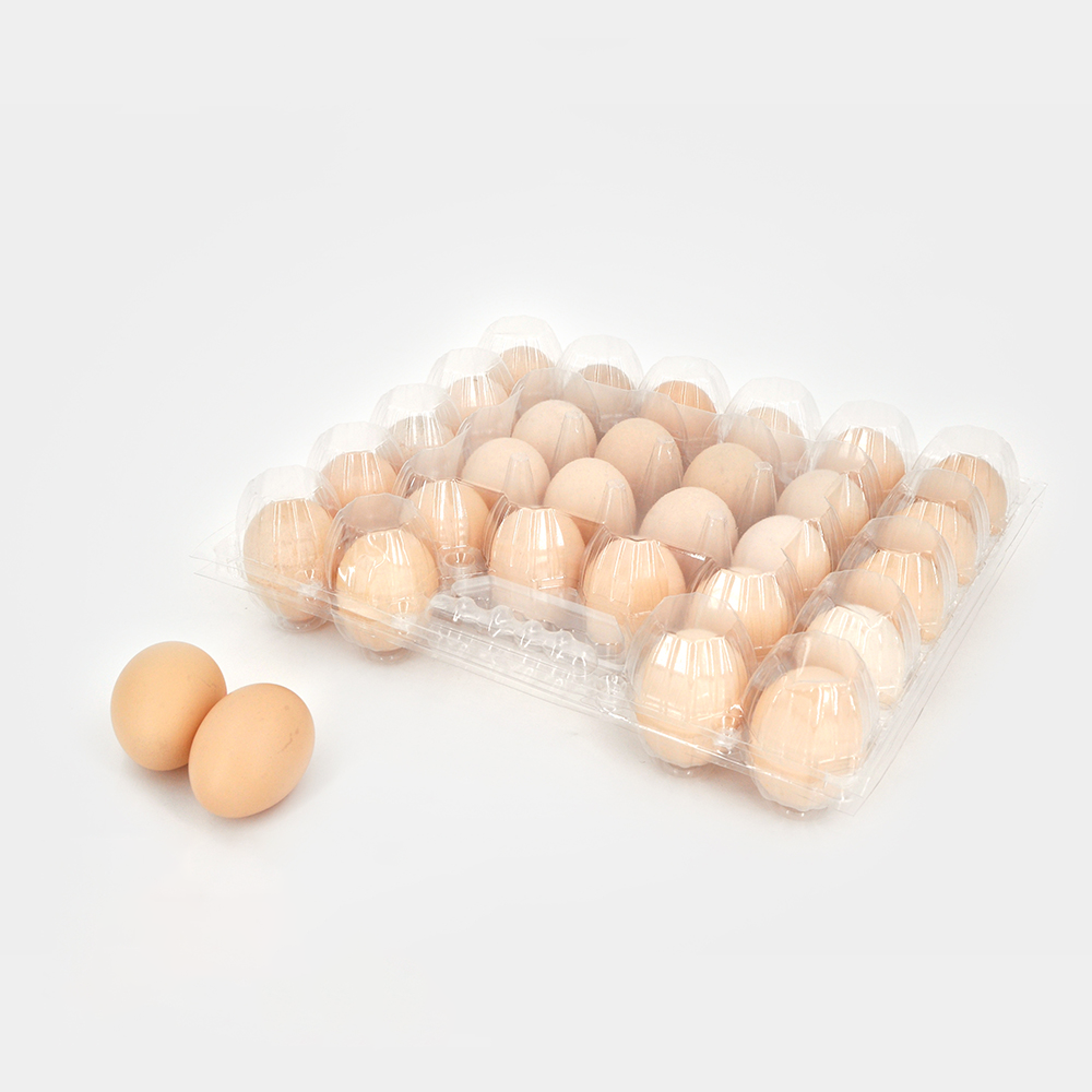 Where to Find High-Quality Plastic Egg Trays at Wholesale Prices