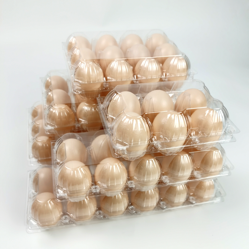 What Are the Common Issues with Egg Plastic Cartons and How to Avoid Them?