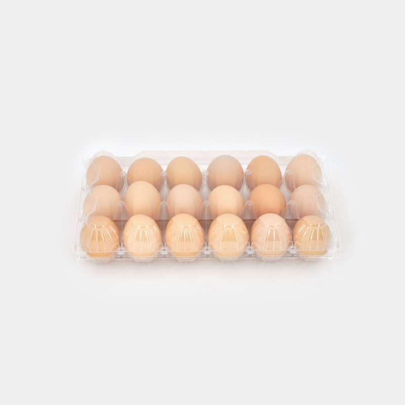 How to Choose the Best Clear Plastic Egg Cartons for Your Business?