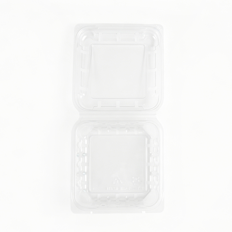 Where to Buy Affordable Hinged Plastic Containers in Bulk