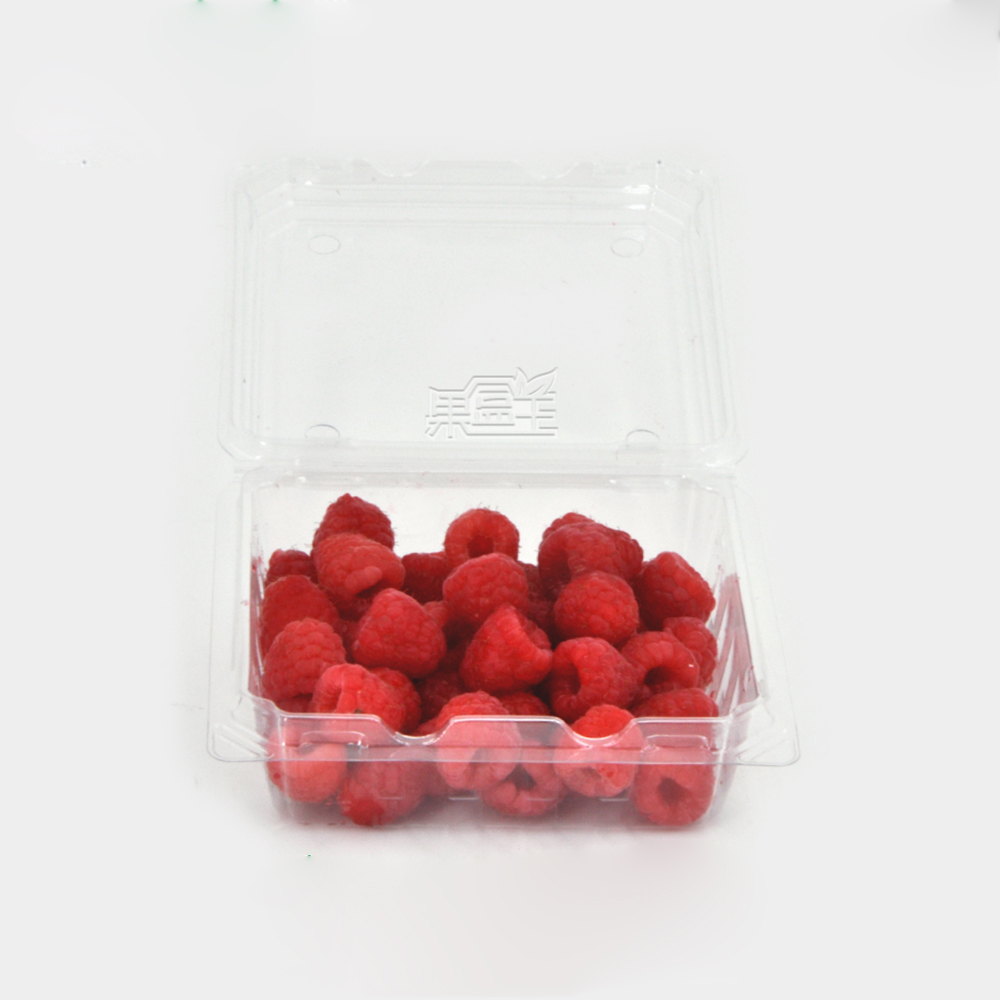 Key Specifications for High-Quality Raspberry Clamshell Packaging