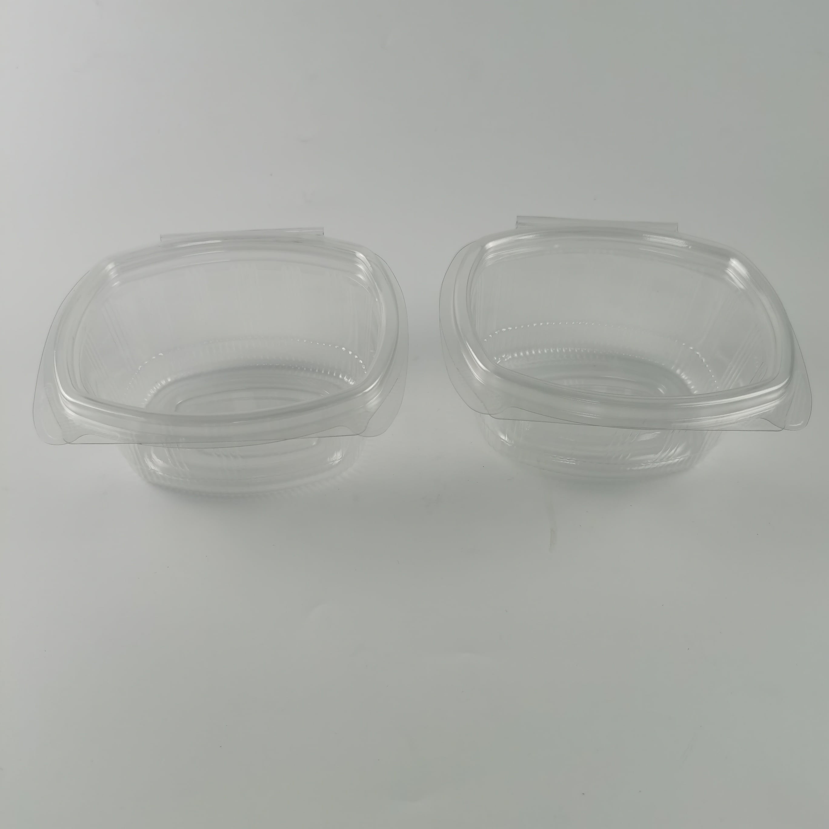 How to Maximize Efficiency with Hinged Lid Containers for Your Packaging Needs