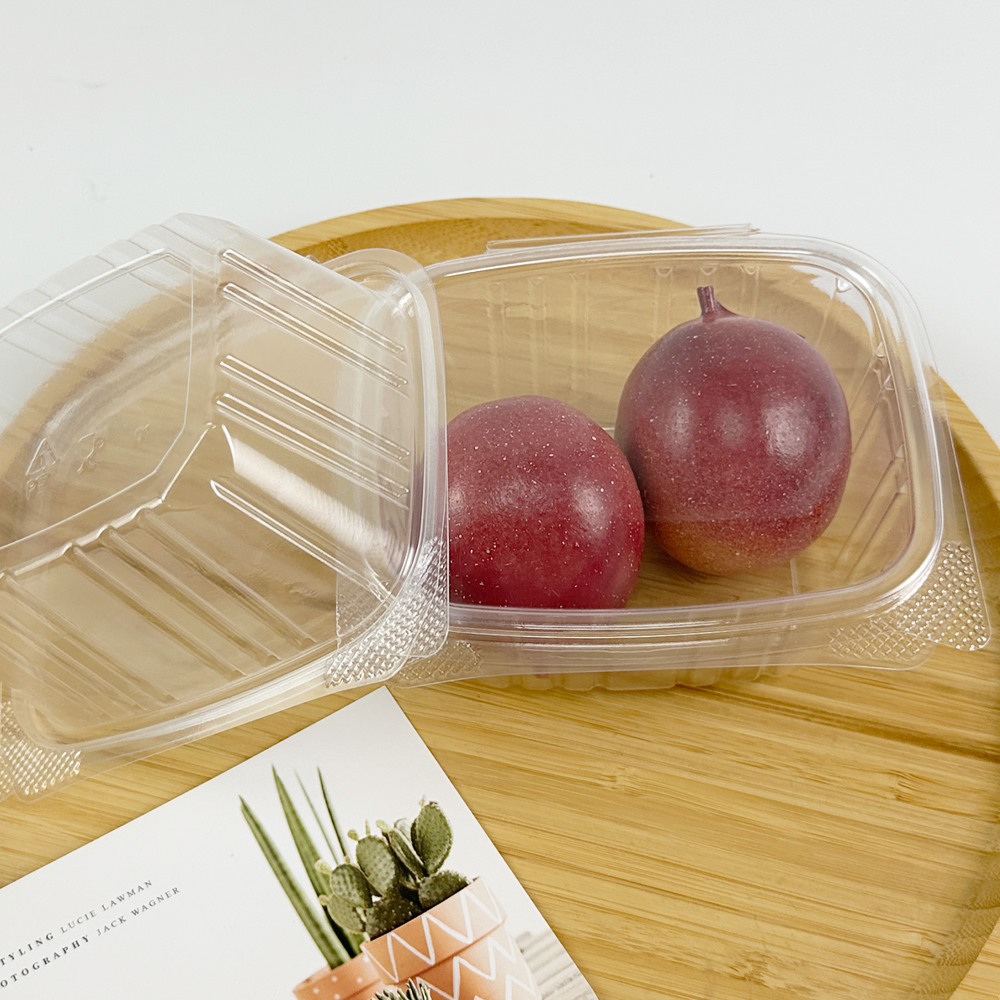 How Are Clear Deli Containers Enhancing Food Presentation and Freshness?
