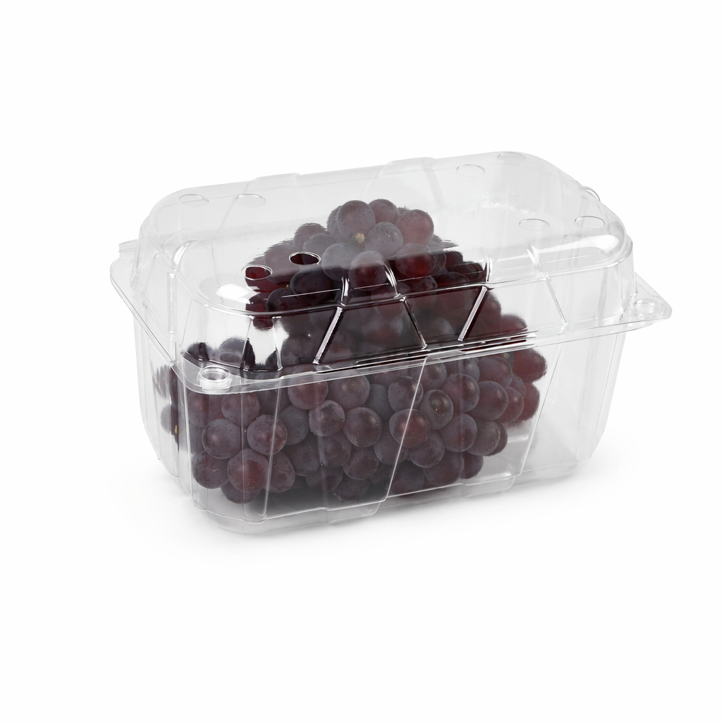 Where to Buy Eco-Friendly PET Hinged Containers for Sustainable Packaging