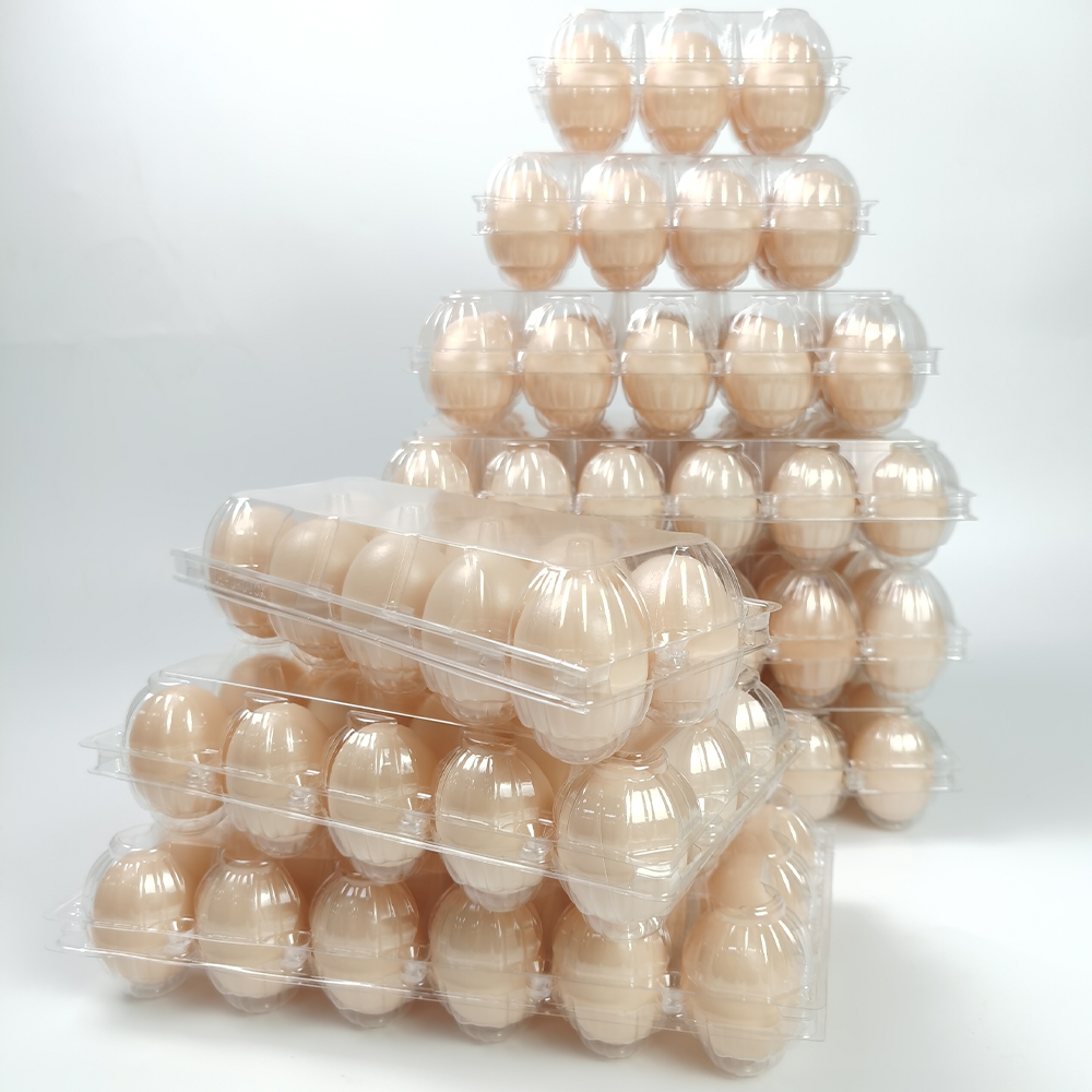 What Makes Egg Plastic Cartons the Ideal Choice for Egg Packaging?