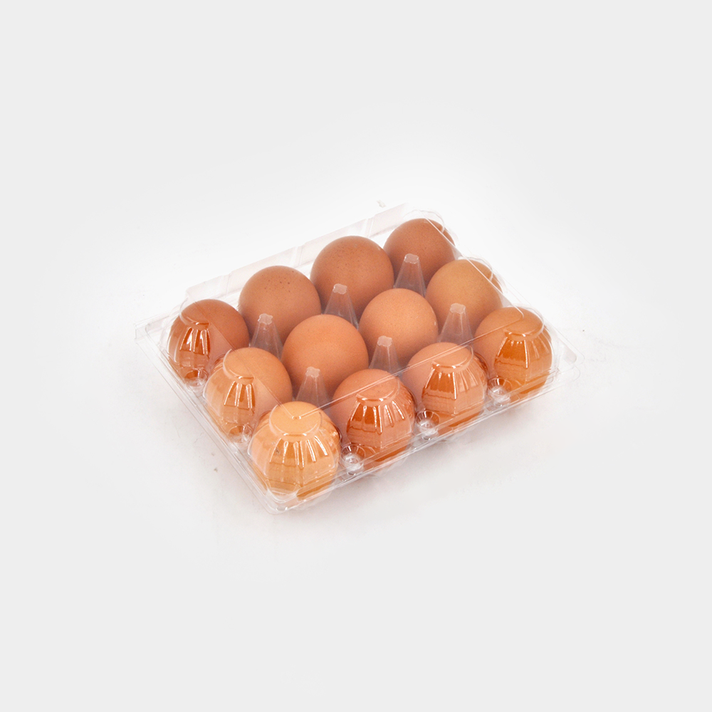 How to Customize Cheap Plastic Egg Cartons for Your Brand