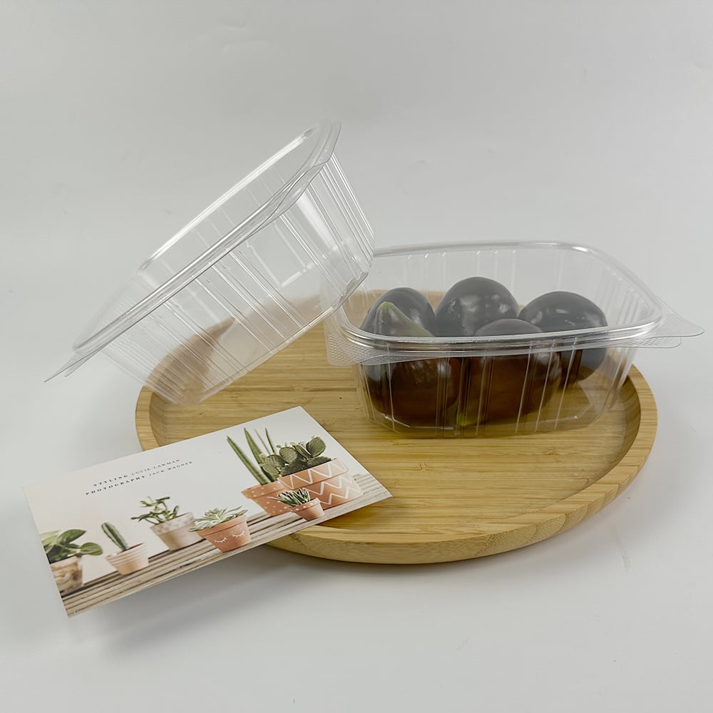 What Makes Hinged Lid Containers Ideal for Food Packaging?