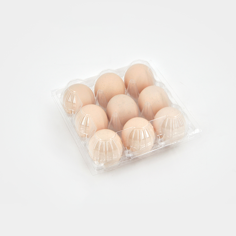 What Makes Plastic Egg Boxes a Sustainable Choice for Your Eggs?