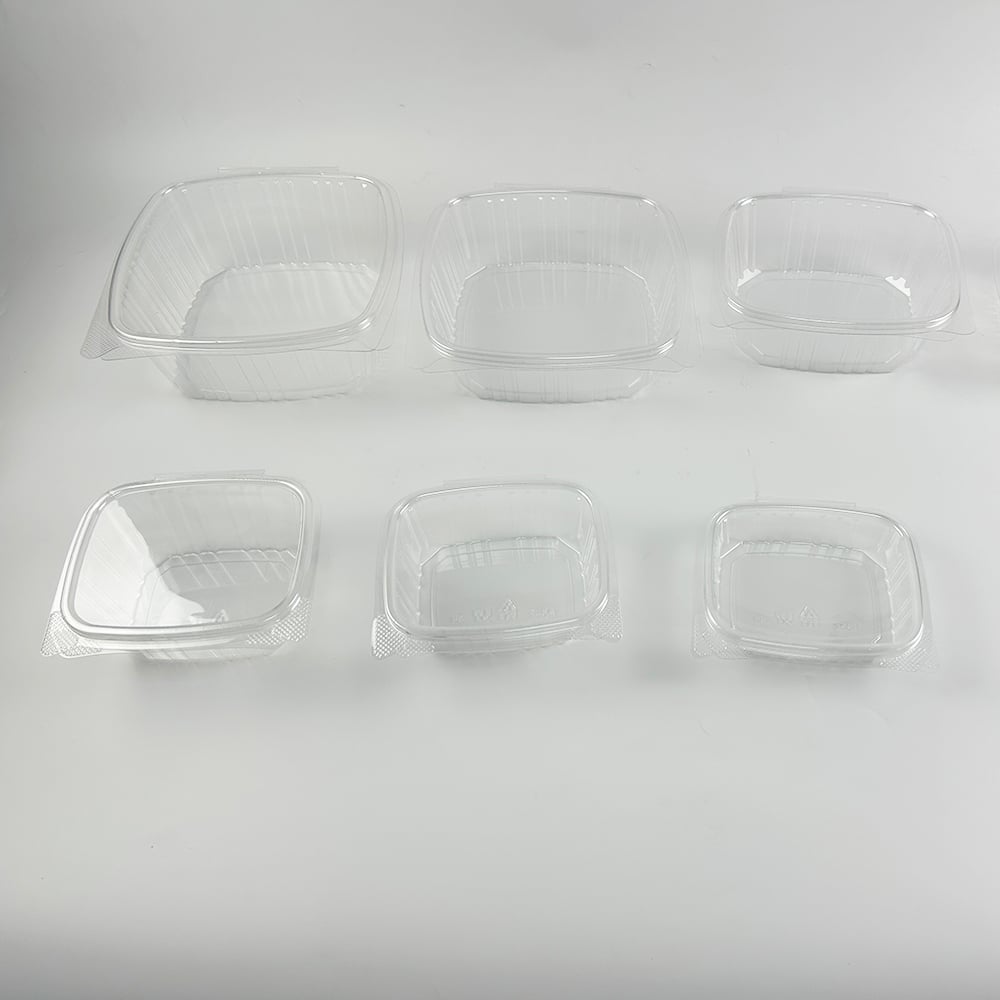 Where to Find the Best Deals on Clear Hinged Deli Containers for Wholesale