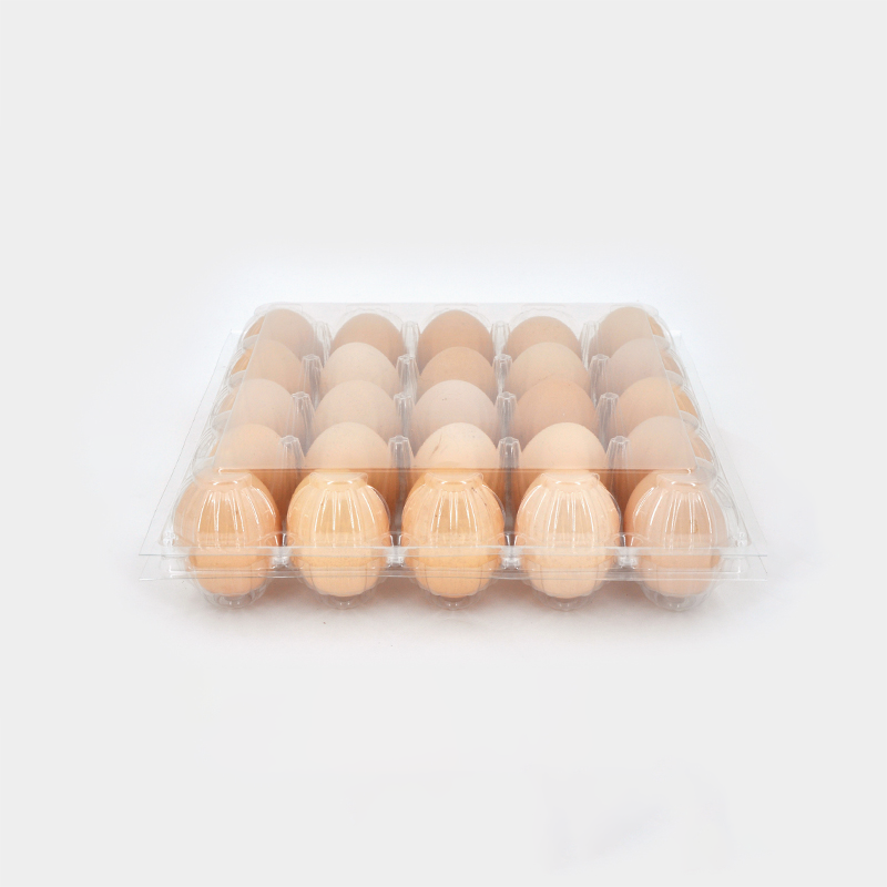 What Are the Common Usage Issues with Egg Tray Plastics?