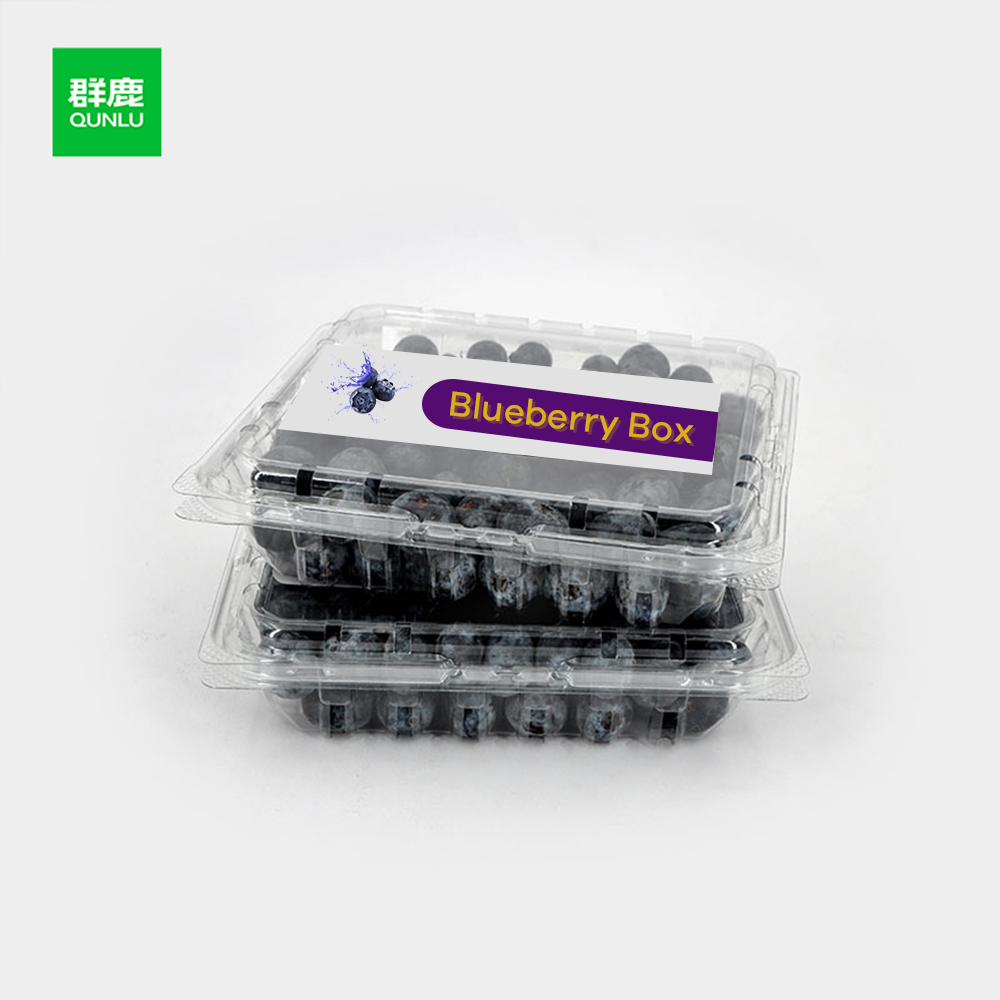 Key Specifications for Quality Berry Packing Containers