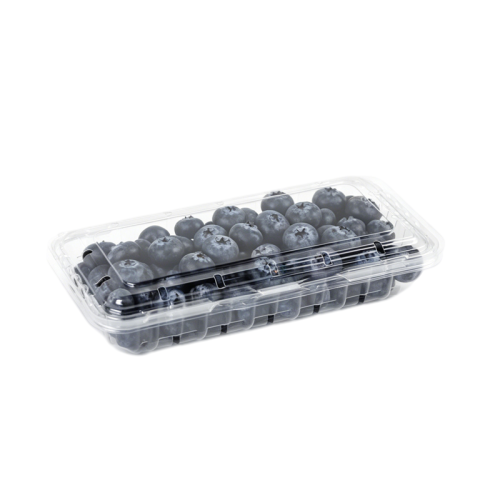 Elongated Vented PET Berry Clamshell | 209×108×38mm | 22g | 600pcs/ctn | GHW-250B1