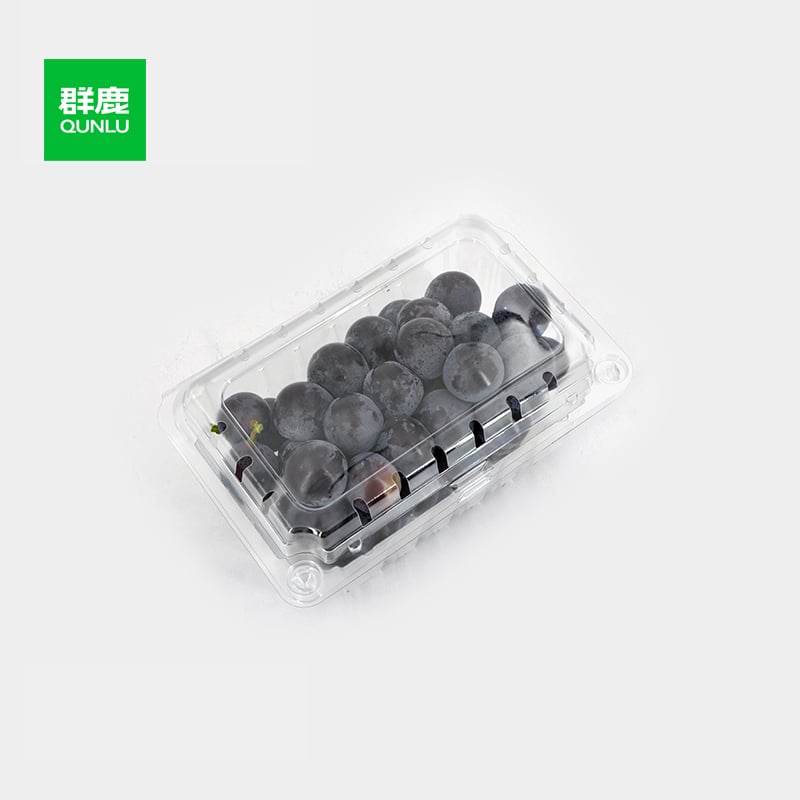 What Are the Common Usage Issues with Plastic Containers and How to Avoid Them?