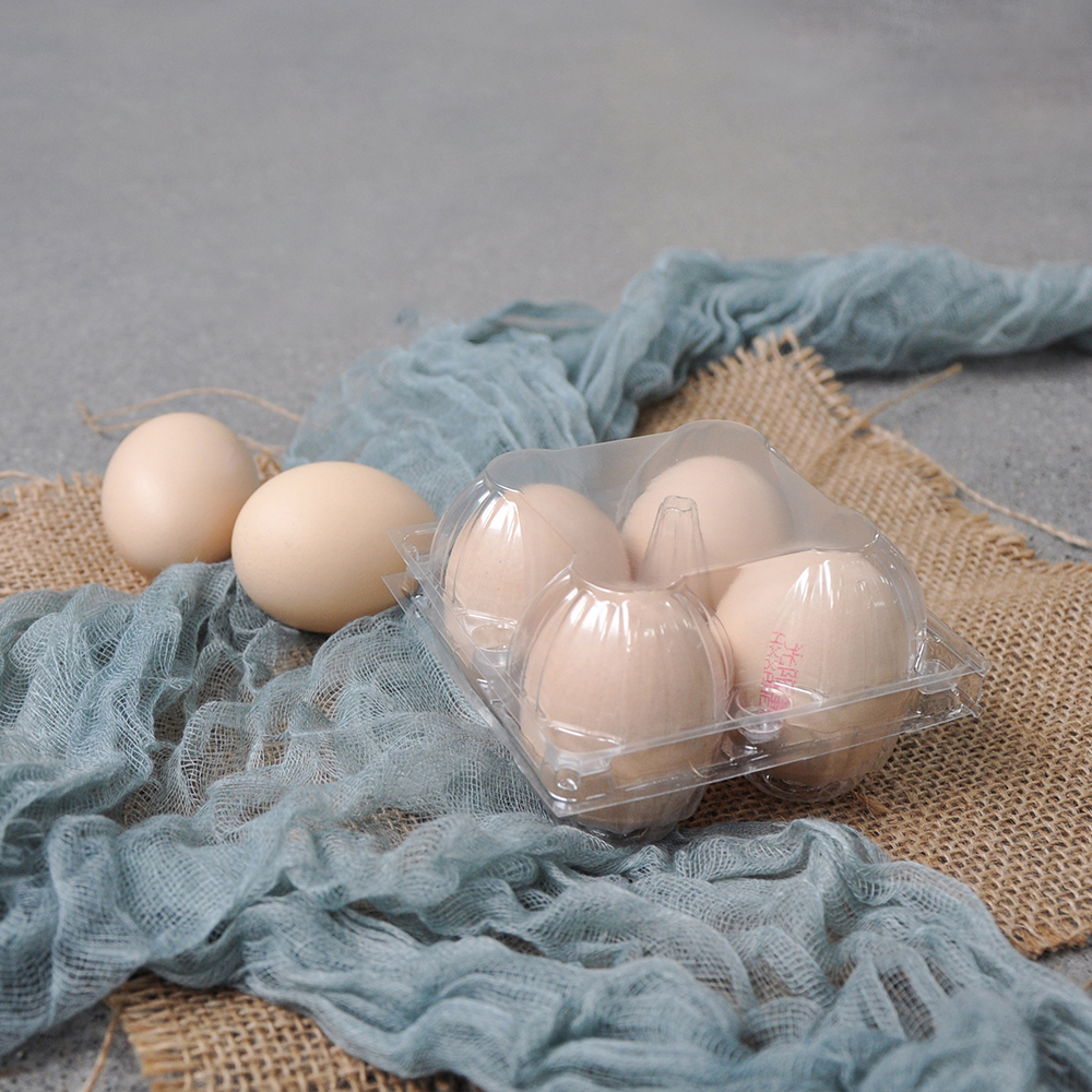 How to Ensure Your Plastic Egg Cartons Meet Industry Standards