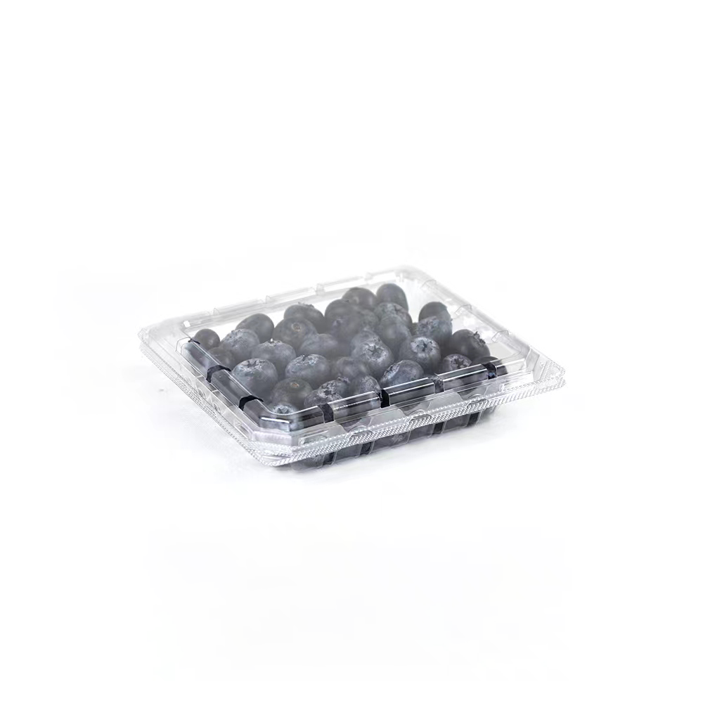 Where to Source Reliable Blueberry Packaging Suppliers