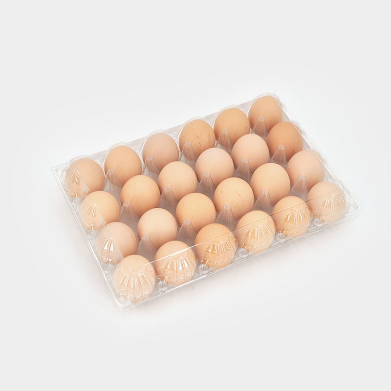 How Egg Tray Plastic Prices Impact Your Overall Packaging Costs
