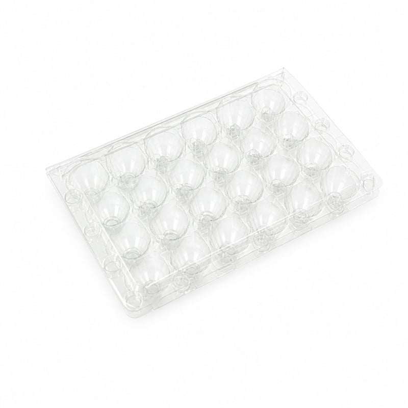 24-Count Clear PET Quail Egg Clamshell for Farms & Retail | 193 × 131 × 38 mm Compact Pack | DW-AC-24 Series