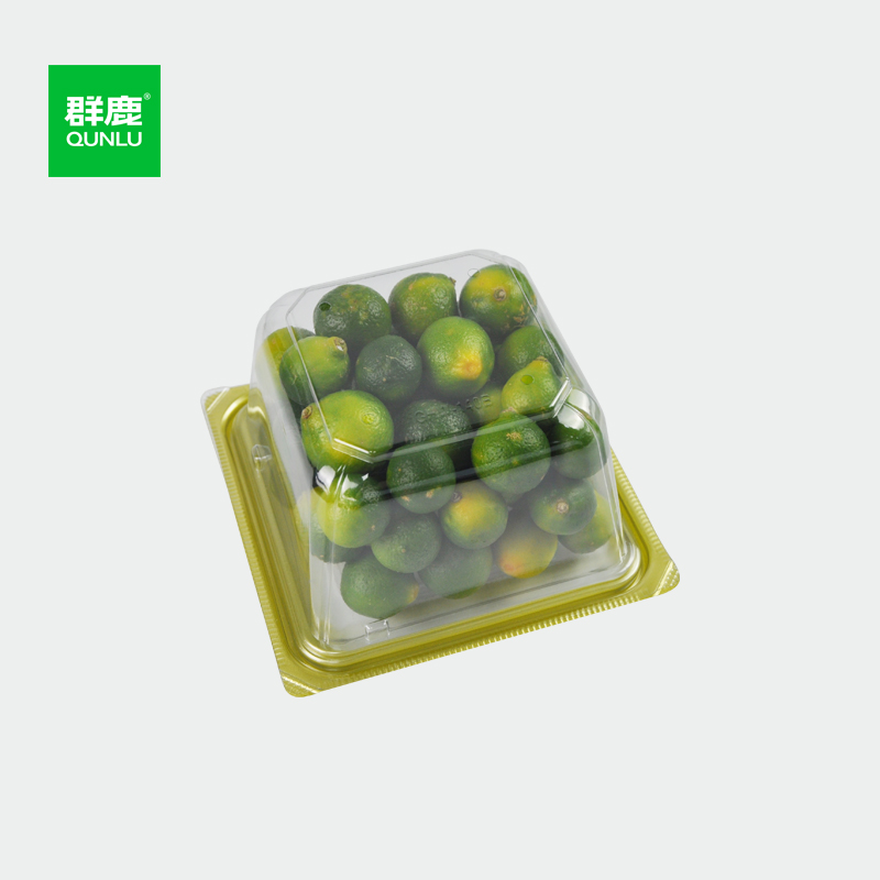 Common Problems with Fresh Fruit Packaging and Their Solutions