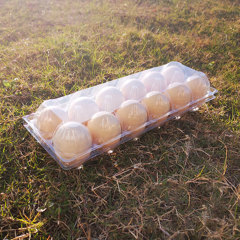 Where to Find the Best Deals on Wholesale Plastic Egg Cartons