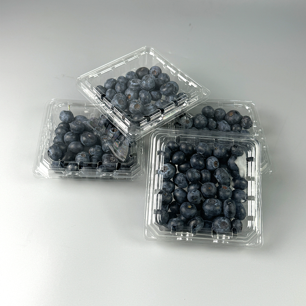 How to Choose the Right Berry Packing Solutions for Your Needs