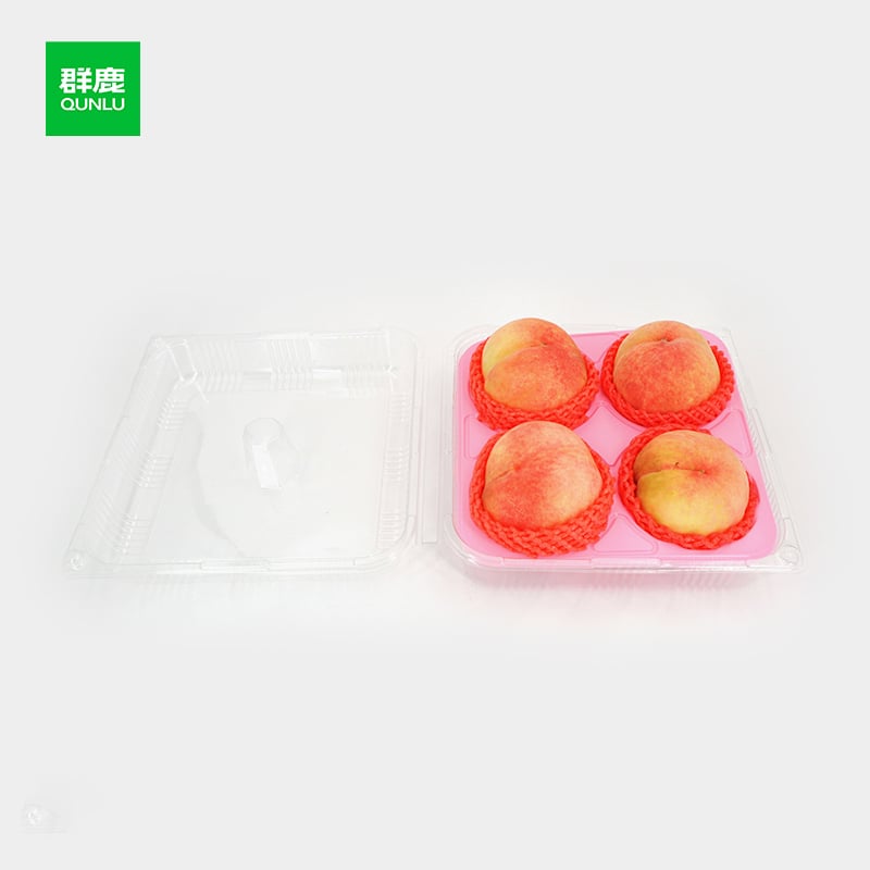 Cost Factors to Consider When Purchasing Fruit Packing Solutions