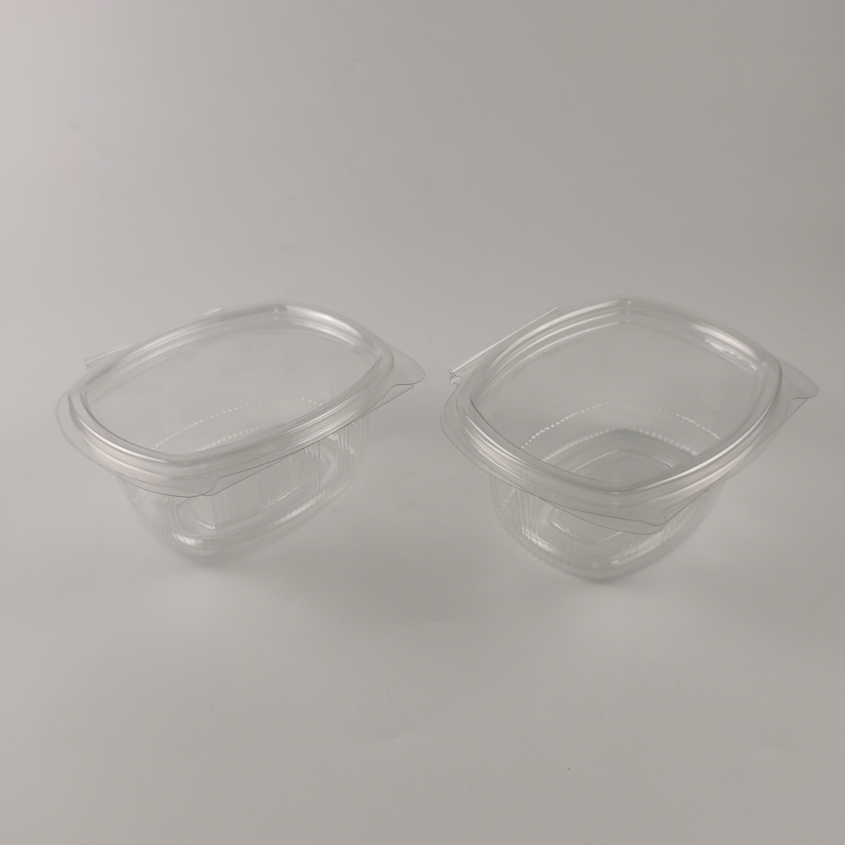 How Hinged Lid Containers Enhance Product Freshness and Shelf Life