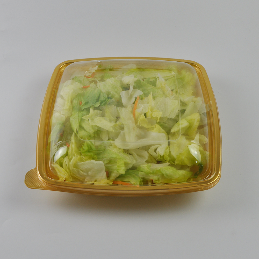 How to Maximize Your Profit with Wholesale Disposable Salad Containers