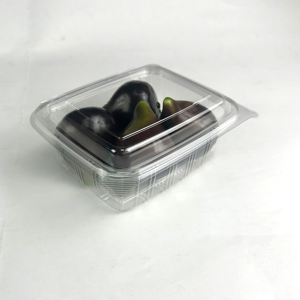 How to Choose the Right Clamshell Container for Your Needs