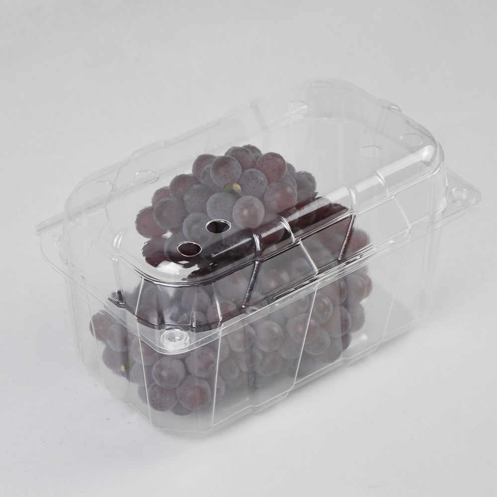 What Common Usage Issues to Avoid with PET Hinged Containers?