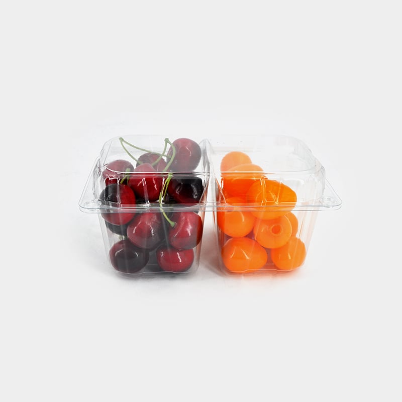 What Are the Common Usage Issues with Plastic Clear Hinged Containers?
