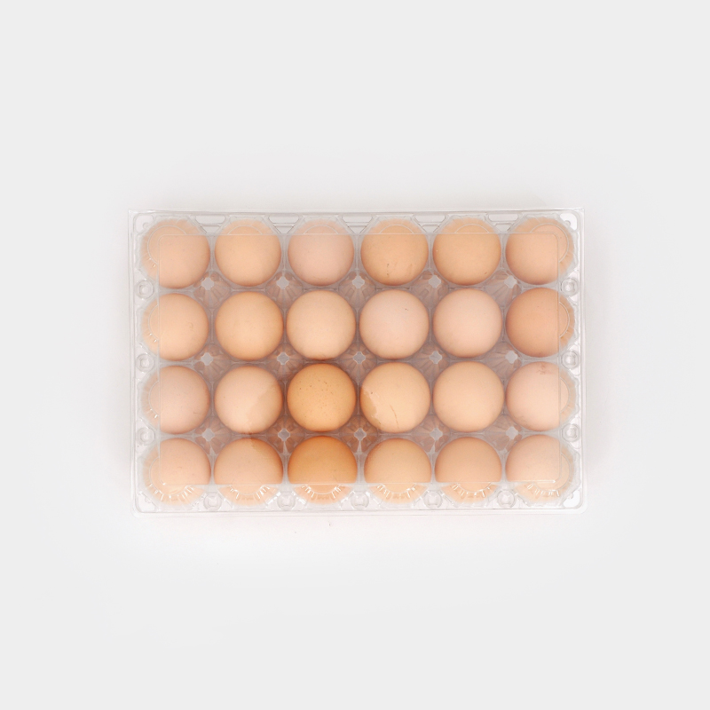 Where to Source High-Quality Egg Tray Plastics at Competitive Prices