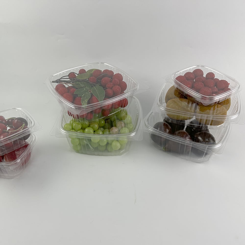 What Makes Clear Deli Containers Ideal for Food Safety and Freshness?