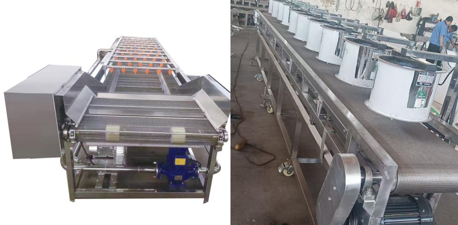 Wire Mesh Belt Conveyor details